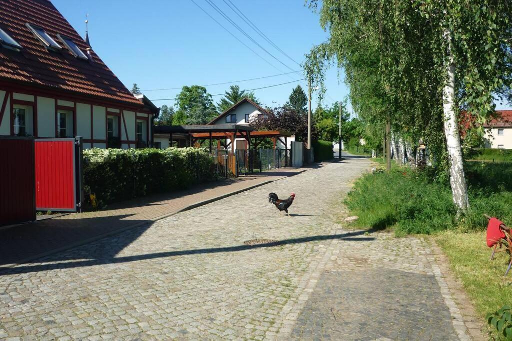 Erpelhaus Apartment Utzberg ภายนอก รูปภาพ